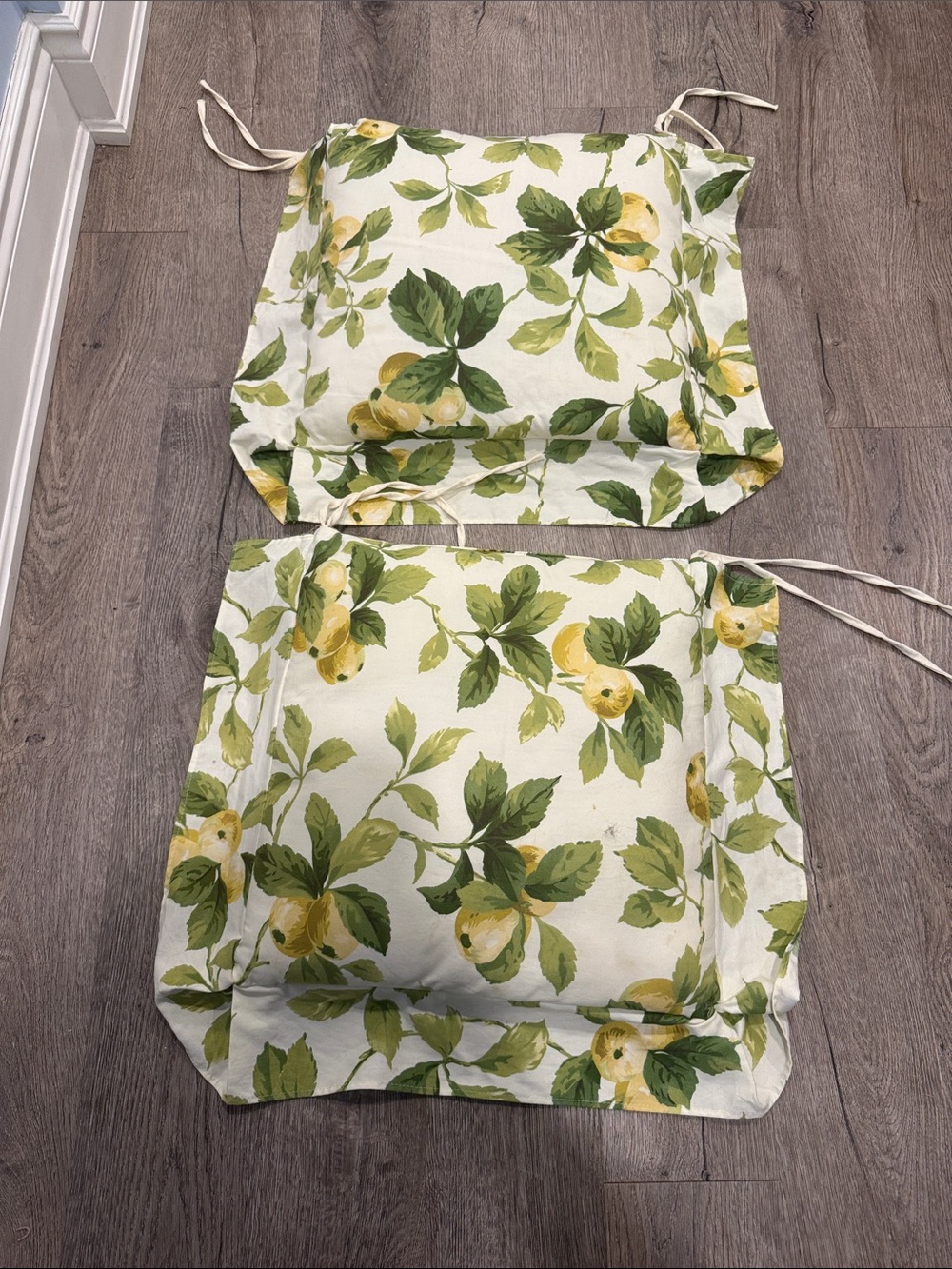 Two chair cushions